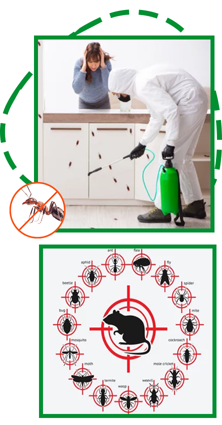 brooklyn-gogreenexterminator Exterminator pest control